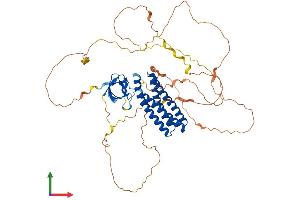 AlphaFold protein structure predicition of Human Recombinant EFS Protein, UniprotID O43281 (EFS Protein (AA 1-561) (His tag))
