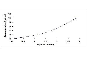 Typical standard curve (YY1 ELISA Kit)