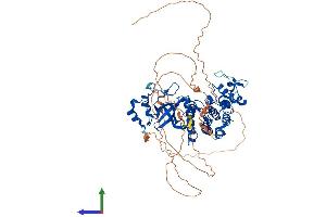 AlphaFold protein structure predicition of Mouse Recombinant Dyrk4 Protein, UniprotID Q8BI55 (DYRK4 Protein (AA 1-632) (His tag))