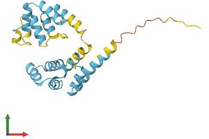 Protein Structure (PS) image for Fas (TNFRSF6)-Associated Via Death Domain (FADD) (AA 1-208) protein (His tag) (ABIN7547526)