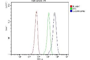 Flow Cytometry analysis of SiHa cells using anti-Caspase 4 antibody (ABIN5693193). (Caspase 4 antibody  (AA 111-194))