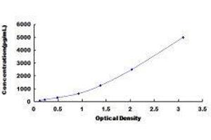 ELISA image for Oxidized Low Density Lipoprotein (Lectin-Like) Receptor 1 (OLR1) ELISA Kit (ABIN415969)