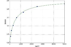 Monoamine Oxidase A (MAOA) ELISA Kit