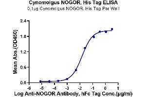 Reticulon 4 Protein (RTN4) (AA 27-447) (His tag)