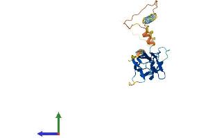 AlphaFold protein structure predicition of Human Recombinant TNFSF9 Protein, UniprotID P41273 (TNFSF9 Protein (AA 1-254) (His tag))
