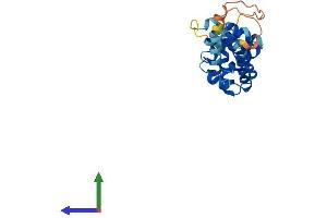AlphaFold protein structure predicition of Human Recombinant CCDC103 Protein, UniprotID Q8IW40 (CCDC103 Protein (AA 1-242) (His tag))