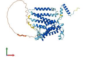 AlphaFold protein structure predicition of Human Recombinant CDS1 Protein, UniprotID Q92903 (CDS1 Protein (AA 1-461) (His tag))