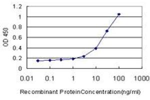 Detection limit for recombinant GST tagged SLC44A1 is approximately 3ng/ml as a capture antibody. (SLC44A1 antibody  (AA 74-183))
