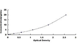 Typical standard curve (Lipophilin B ELISA Kit)