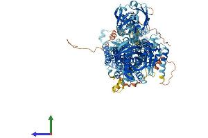 AlphaFold protein structure predicition of Mouse Recombinant Atp8b2 Protein, UniprotID P98199 (ATP8B2 Protein (AA 1-1209) (His tag))