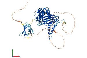 AlphaFold protein structure predicition of Mouse Recombinant Carm1 Protein, UniprotID Q9WVG6 (CARM1 Protein (AA 1-608) (His tag))