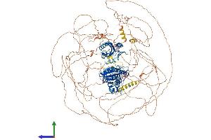 Protein Structure (PS) image for Slingshot Homolog 2 (SSH2) (AA 1-1423) protein (His tag) (ABIN7555614)