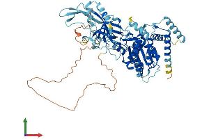 Protein Structure (PS) image for Minichromosome Maintenance Complex Binding Protein (MCMBP) (AA 1-642) protein (His tag) (ABIN7554549)
