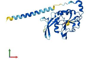 AlphaFold protein structure predicition of Human Recombinant CTDNEP1 Protein, UniprotID O95476
