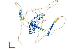 Protein Structure (PS) image for E3 ubiquitin-protein ligase RAD18 (RAD18) (AA 1-509) protein (His tag) (ABIN7561749)
