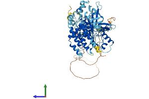 Protein Structure (PS) image for Minichromosome Maintenance Complex Binding Protein (MCMBP) (AA 1-642) protein (His tag) (ABIN7554549)