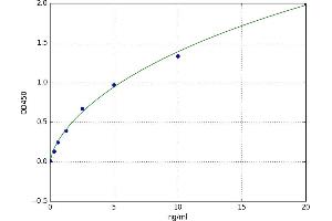 Aryl Hydrocarbon Receptor (AHR) ELISA Kit