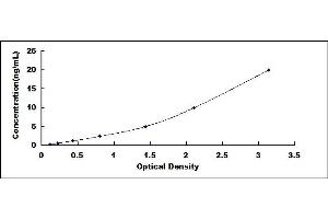 Typical standard curve