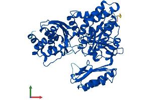 Protein Structure (PS) image for Phosphoglucomutase 3 (PGM3) (AA 1-542) protein (His tag) (ABIN7552011)