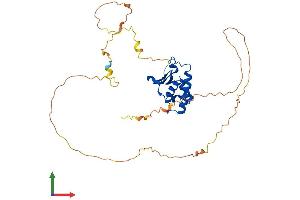 AlphaFold protein structure predicition of Mouse Recombinant Tob2 Protein, UniprotID Q9JM55