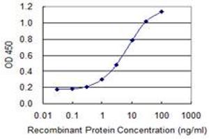 Detection limit for recombinant GST tagged CYLD is 0. (CYLD antibody  (AA 854-953))