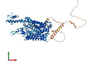 AlphaFold protein structure predicition of Human Recombinant SLC6A17 Protein, UniprotID Q9H1V8