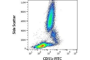 Flow cytometry surface staining pattern of human peripheral whole blood stained using anti-human CD11c (BU15) FITC antibody (20 μL reagent / 100 μL of peripheral whole blood).