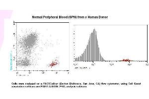 Image no. 1 for anti-CD19 Molecule (CD19) antibody (APC) (ABIN1112072) (CD19 antibody  (APC))