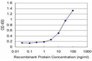 Detection limit for recombinant GST tagged FOXO1A is approximately 1ng/ml as a capture antibody. (FOXO1 antibody  (AA 556-655))