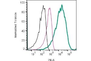 Cell surface detection of CD81 by direct flow cytometry in live intact intact U87- derived extracellular vesicles (EVs):U87- derived EVs. (CD81 antibody  (Extracellular) (PE))