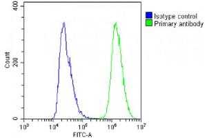 Overlay histogram showing A431 cells stained with (ABIN6242802 and ABIN6578791)(green line). (IL23A antibody  (AA 33-67))