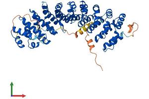 AlphaFold protein structure predicition of Mouse Recombinant Kpna7 Protein, UniprotID C0LLJ0