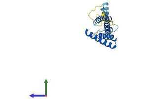 Protein Structure (PS) image for Translocase of Inner Mitochondrial Membrane 22 Homolog (TIMM22) (AA 1-194) protein (His tag) (ABIN7544506)