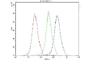 Flow Cytometry analysis of Hela cells using anti-MVP antibody (ABIN5692897). (MVP antibody  (AA 2-259))