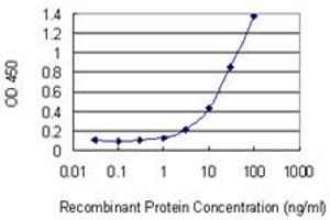Detection limit for recombinant GST tagged S100A12 is 1 ng/ml as a capture antibody. (S100A12 antibody  (AA 1-92))