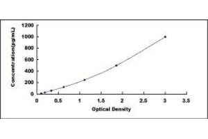 Typical standard curve (Neuregulin 1 ELISA Kit)