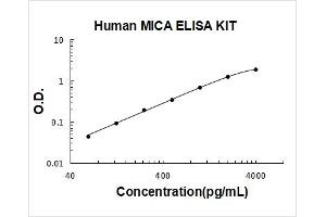 MHC Class I Polypeptide-Related Sequence A (MICA) ELISA Kit
