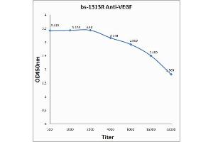 ELISA image for anti-Vascular Endothelial Growth Factor (VEGF) antibody (ABIN674829)