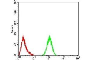 Flow cytometric analysis of Hela cells using YWHAB mouse mAb (green) and negative control (red). (YWHAB antibody  (AA 1-246))