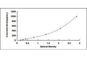 Colony Stimulating Factor 3 (Granulocyte) (CSF3) ELISA Kit