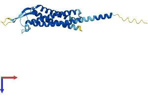 Transmembrane Protein 179 (TMEM179) (AA 1-233) protein (His tag)