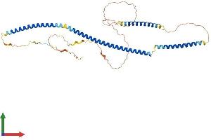 AlphaFold protein structure predicition of Mouse Recombinant Azi2 Protein, UniprotID Q9QYP6 (AZI2 Protein (AA 1-405) (His tag))