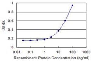 Detection limit for recombinant GST tagged FST is 1 ng/ml as a capture antibody. (Follistatin antibody  (AA 1-344))