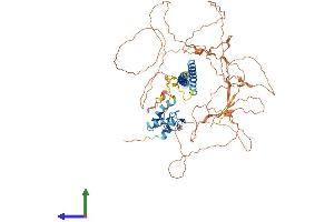 AlphaFold protein structure predicition of Human Recombinant TAB2 Protein, UniprotID Q9NYJ8
