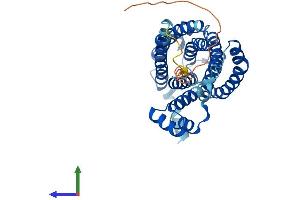 Protein Structure (PS) image for Ceramide Synthase 2 (CERS2) (AA 1-380) protein (His tag) (ABIN7553313)