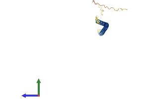 AlphaFold protein structure predicition of Human Recombinant AARD Protein, UniprotID Q4LEZ3