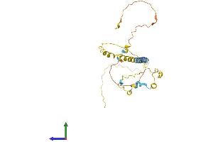 AlphaFold protein structure predicition of Human Recombinant BEAN1 Protein, UniprotID Q3B7T3 (BEAN1 Protein (AA 1-259) (His tag))