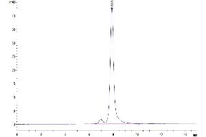 The purity of Mouse Factor H/CFH is greater than 95 % as determined by SEC-HPLC. (Complement Factor H Protein (CFH) (AA 875-1252) (His tag))