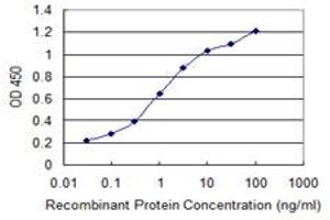 Detection limit for recombinant GST tagged PER2 is 0. (PER2 antibody  (AA 1-100))
