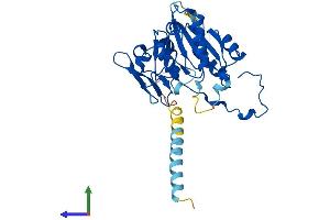 AlphaFold protein structure predicition of Mouse Recombinant B3gat1 Protein, UniprotID Q9CW73 (CD57 Protein (AA 1-334) (His tag))